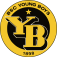Tickets BSC Young Boys