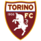 Tickets Torino FC